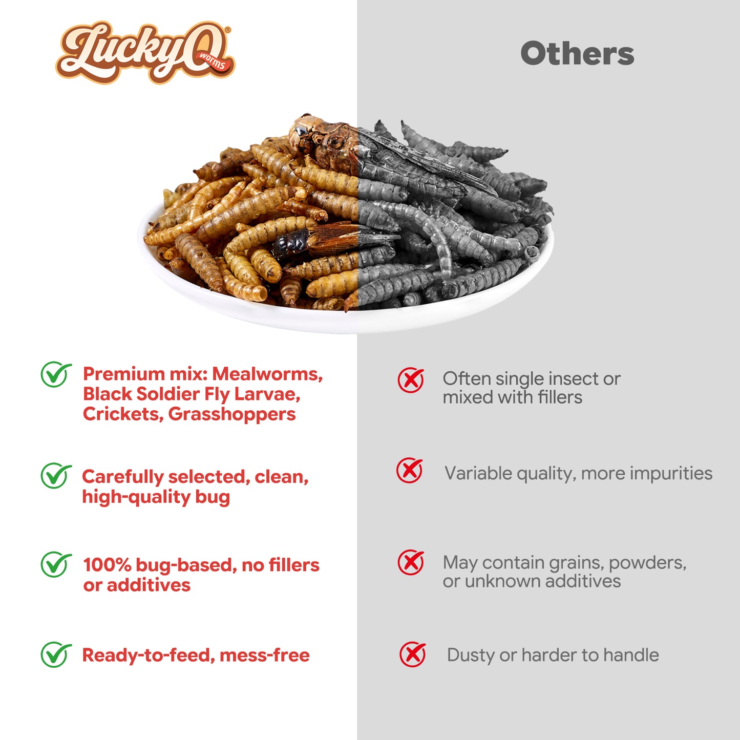LuckyQworms The Ultimate Bug Blend 5 lbs for Chickens, Wild Birds, Hedgehogs, Reptiles, Lizards, Bearded Dragons, Fish, Turtles High Protein Natural Insect Food Resealable Bag