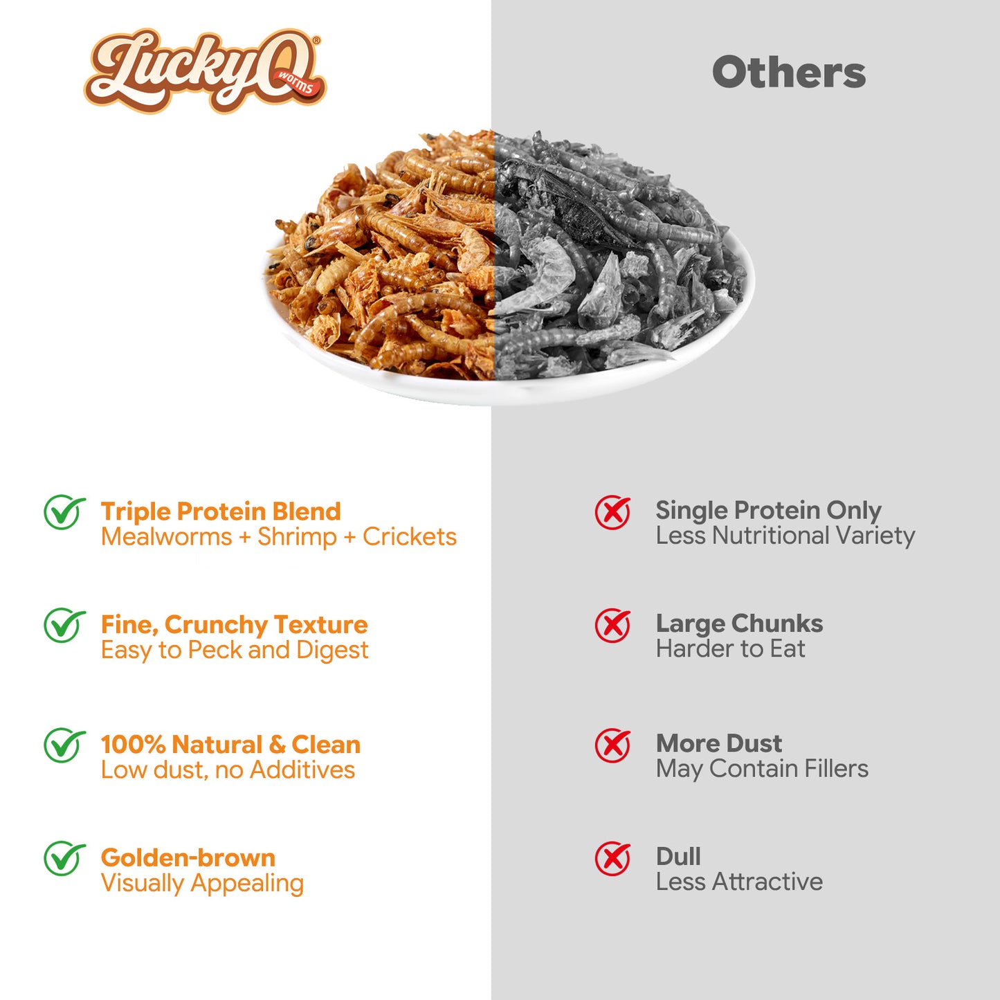 LuckyQworms Dried Mighty Crunch Mix Aquatic Turtle Food 5 lbs for Chickens, Wild Birds, Hedgehogs, Reptiles, Lizards, Bearded Dragons, Fish, Turtles High Protein Natural Insect Food Resealable Bag