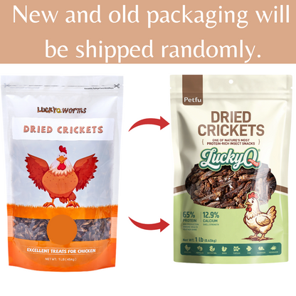 Dried Crickets High-Protein Treats for Reptiles & Birds