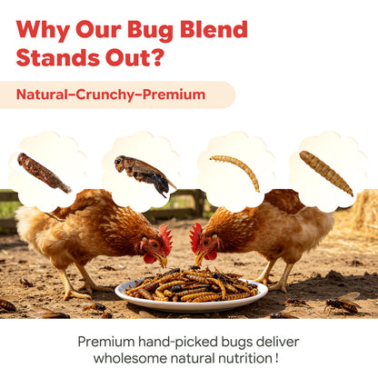 LuckyQworms The Ultimate Bug Blend 5 lbs for Chickens, Wild Birds, Hedgehogs, Reptiles, Lizards, Bearded Dragons, Fish, Turtles High Protein Natural Insect Food Resealable Bag