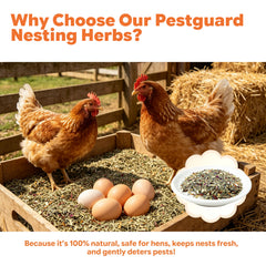 Less feather pecking, keeps flock calm and maintains healthy plumage.