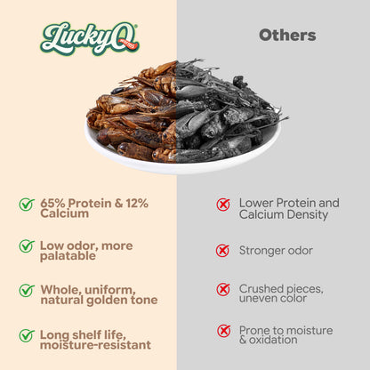 LuckyQworms Dried Crickets 5 lbs for Chickens, Wild Birds, Hedgehogs, Reptiles, Lizards, Bearded Dragons, Fish, Turtles High Protein Natural Insect Food Resealable Bag