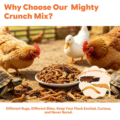 LuckyQworms Dried Mighty Crunch Mix Aquatic Turtle Food 5 lbs for Chickens, Wild Birds, Hedgehogs, Reptiles, Lizards, Bearded Dragons, Fish, Turtles High Protein Natural Insect Food Resealable Bag