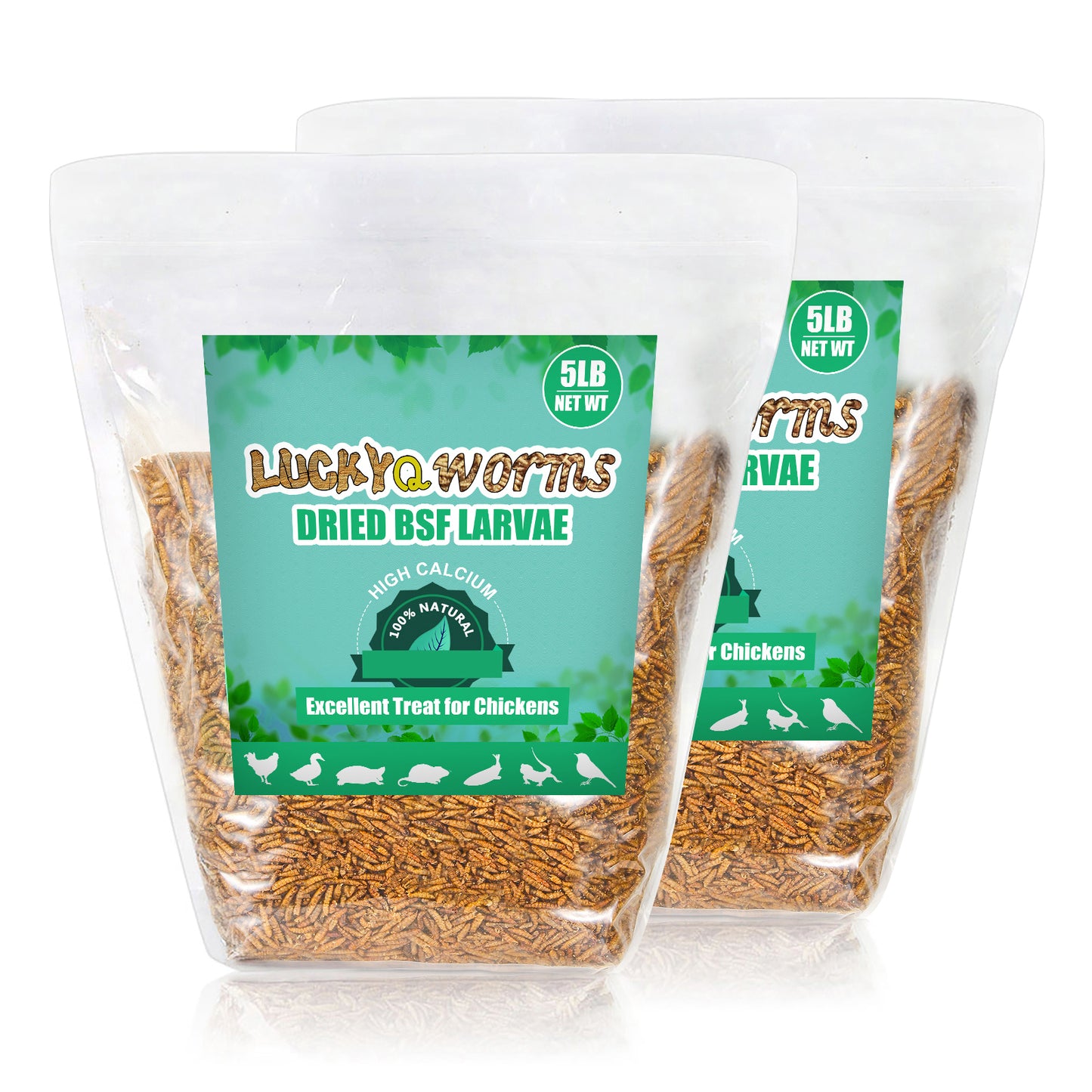 LuckyQworms Dried Black Soldier Fly Larvae 10LBS, High-Protein BSF Larvae Chicken Treats Non-GMO BSFL for Chickens, Hens, Ducks, Wild Birds