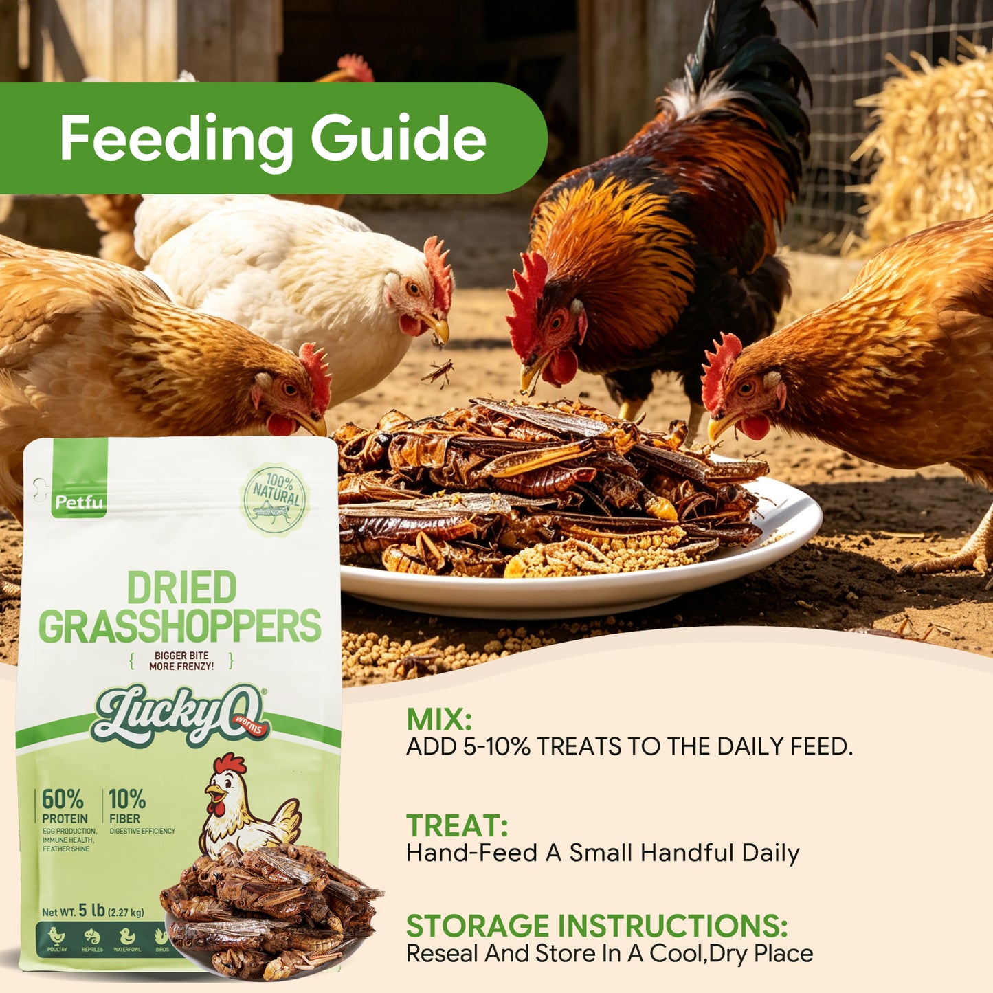 LuckyQworms Dried Grasshoppers 5 lbs for Chickens, Wild Birds, Hedgehogs, Reptiles, Lizards, Bearded Dragons, Fish, Turtles High Protein Natural Insect Food Resealable Bag