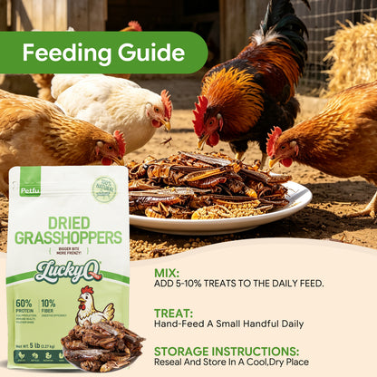 LuckyQworms Dried Grasshoppers 5 lbs for Chickens, Wild Birds, Hedgehogs, Reptiles, Lizards, Bearded Dragons, Fish, Turtles High Protein Natural Insect Food Resealable Bag