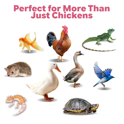 Balanced Treats for Poultry, Birds, Reptiles, and Fish