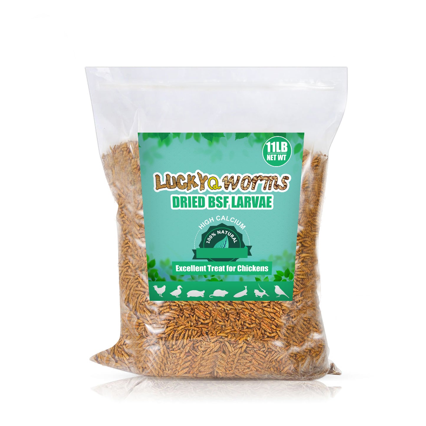 LuckyQworms Dried Black Soldier Fly Larvae 11LBS, High-Protein BSF Larvae Chicken Treats Non-GMO BSFL for Chickens, Hens, Ducks, Wild Birds