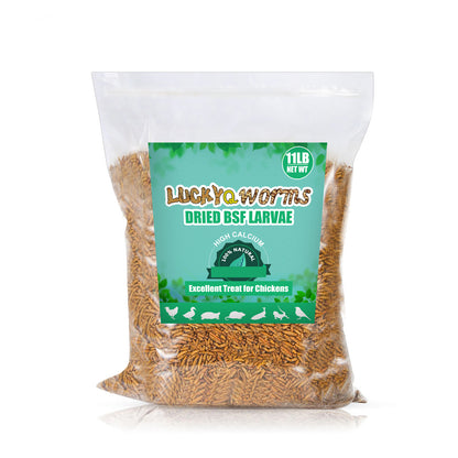 LuckyQworms Dried Black Soldier Fly Larvae 11LBS, High-Protein BSF Larvae Chicken Treats Non-GMO BSFL for Chickens, Hens, Ducks, Wild Birds
