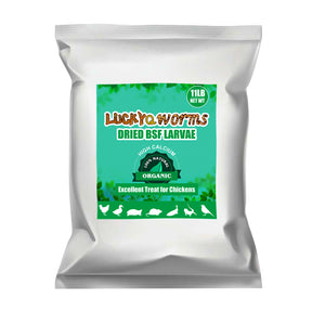 LuckyQworms Dried Black Soldier Fly Larvae 11LBS, High-Protein BSF Larvae Chicken Treats Non-GMO BSFL for Chickens, Hens, Ducks, Wild Birds