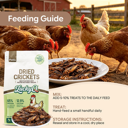 LuckyQworms Dried Crickets 5 lbs for Chickens, Wild Birds, Hedgehogs, Reptiles, Lizards, Bearded Dragons, Fish, Turtles High Protein Natural Insect Food Resealable Bag