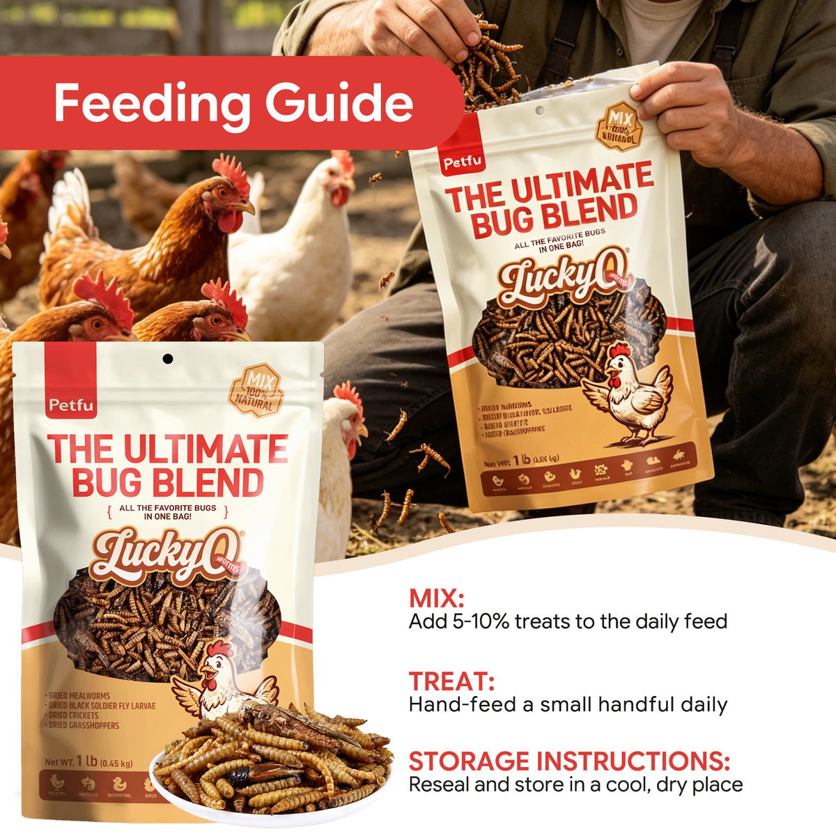 Feeding PETFU Ultimate Bug Blend to Backyard Hens Ducks and Reptiles