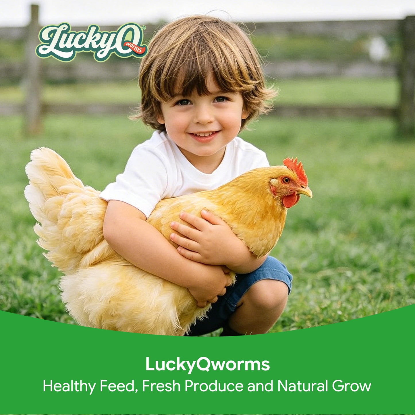 LuckyQworms Dried Grasshoppers 5 lbs for Chickens, Wild Birds, Hedgehogs, Reptiles, Lizards, Bearded Dragons, Fish, Turtles High Protein Natural Insect Food Resealable Bag