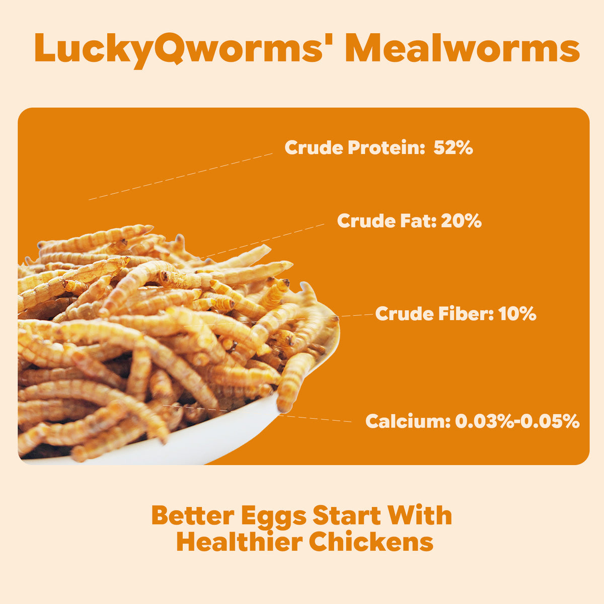 LuckyQworms resealable bag dried mealworms chicken treat