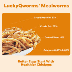 LuckyQworms resealable bag dried mealworms chicken treat