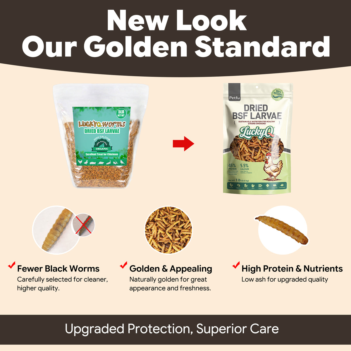  New Look Our Golden Standard