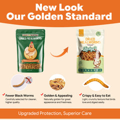 LuckyQworms resealable bag dried mealworms chicken treat