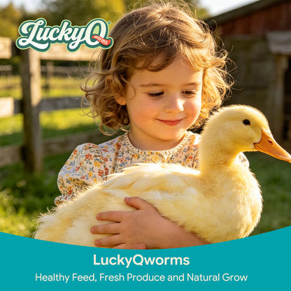 LuckyQworms Dried Freshwater Fish 5 lbs for Cats, Chickens, Wild Birds, Hedgehogs, Reptiles, Lizards, Bearded Dragons, Fish, Turtles High Protein Natural Insect Food Resealable Bag