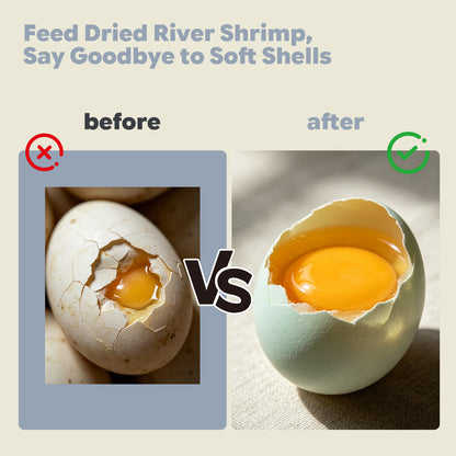 dried river shrimp can make the eggshell hard