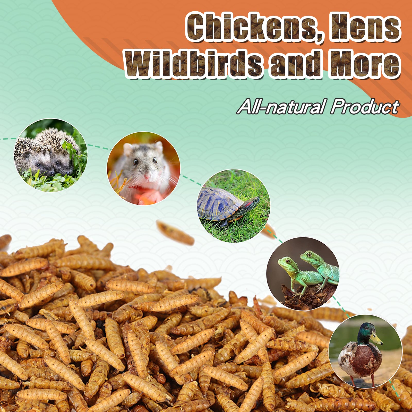 LuckyQworms Dried Black Soldier Fly Larvae 5lbs, High-Protein BSF Larvae Chicken Treats Non-GMO BSFL for Chickens, Hens, Ducks