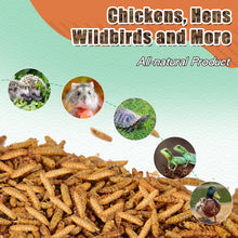 Load image into Gallery viewer, LuckyQworms Dried Black Soldier Fly Larvae 44LBS, High-Protein BSF Larvae Chicken Treats Non-GMO BSFL for Chickens, Hens, Ducks, Wild Birds
