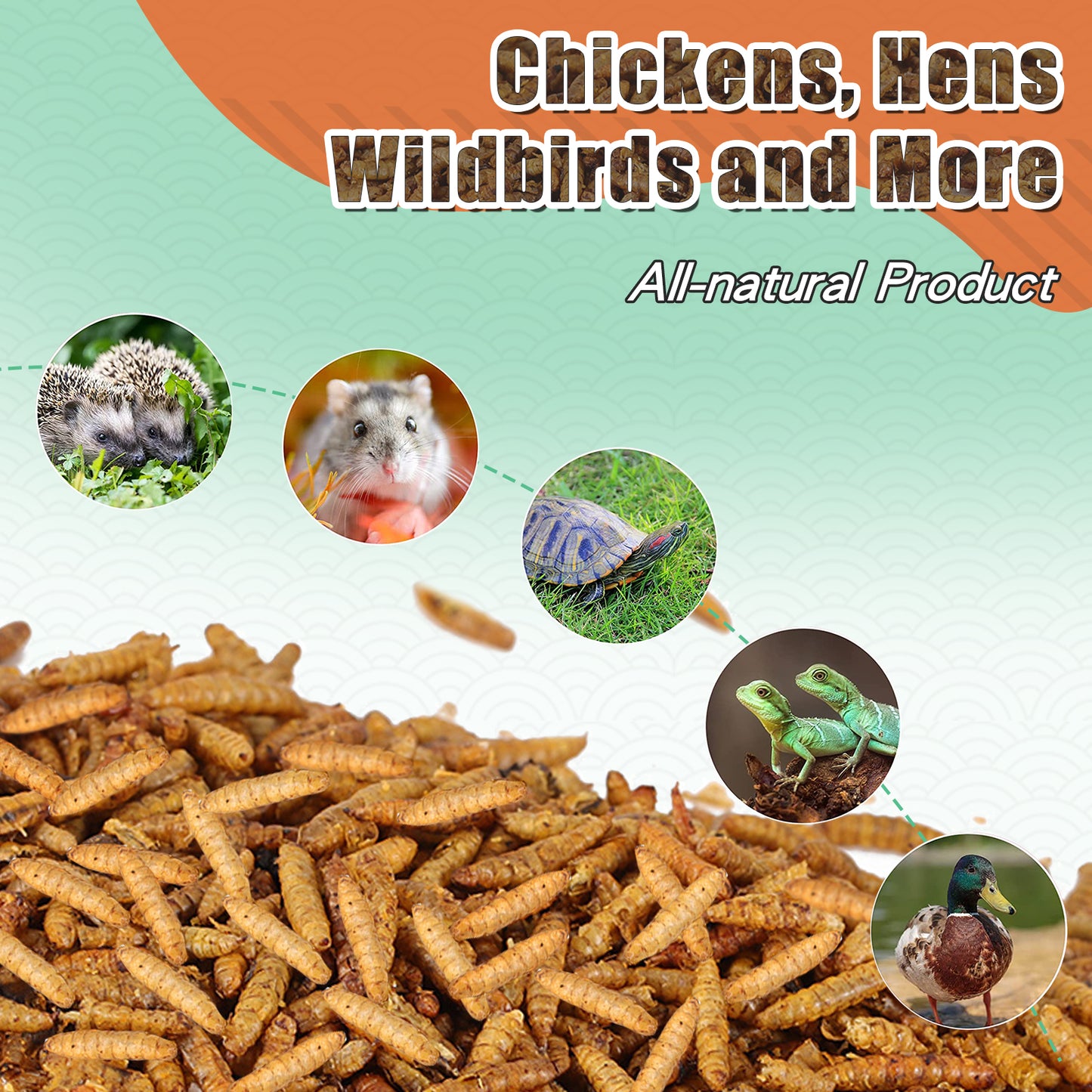 LuckyQworms Dried Black Soldier Fly Larvae 22LBS, High-Protein BSF Larvae Chicken Treats Non-GMO BSFL for Chickens, Hens, Ducks, Wild Birds