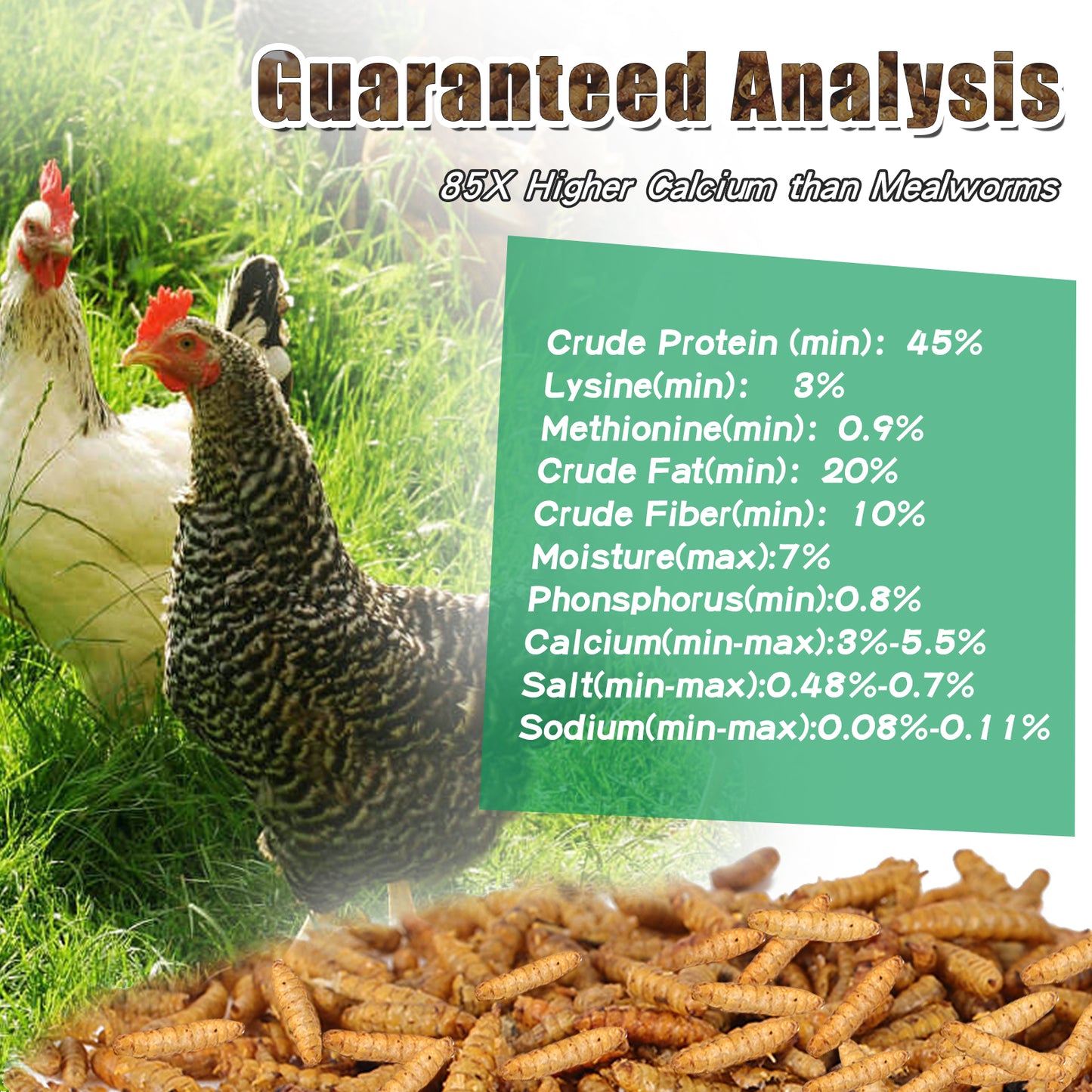 LuckyQworms Dried Black Soldier Fly Larvae 22LBS, High-Protein BSF Larvae Chicken Treats Non-GMO BSFL for Chickens, Hens, Ducks, Wild Birds