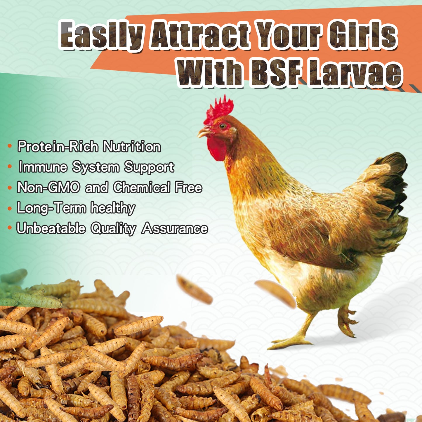 LuckyQworms Dried Black Soldier Fly Larvae 22LBS, High-Protein BSF Larvae Chicken Treats Non-GMO BSFL for Chickens, Hens, Ducks, Wild Birds