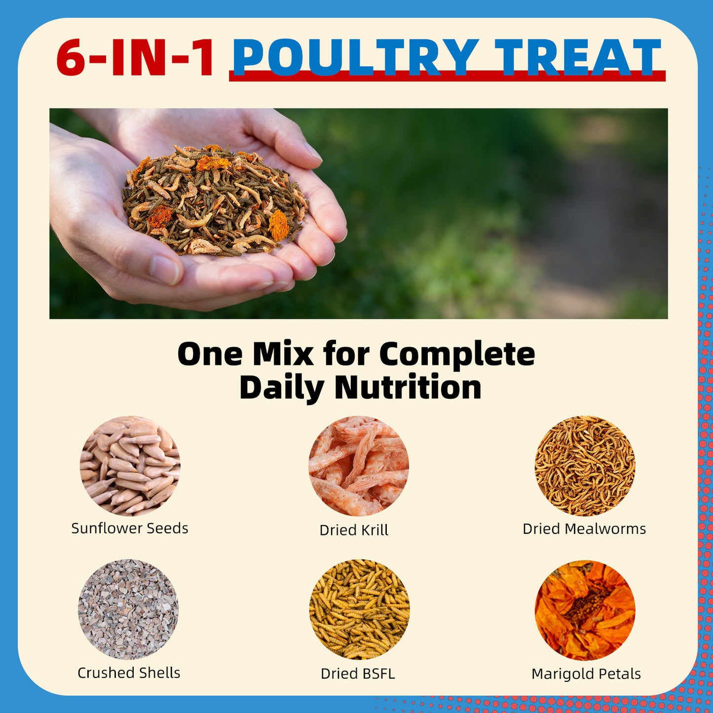 Petfu Apollo1 Series 6-in-1 Poultry Treat Mix High-Protein Mealworms, BSFL, Krill, Sunflower Seeds, Marigold Petals & Shells for Chickens & Ducks | Supports Strong Eggshells, Feather Health & Rich Yolks