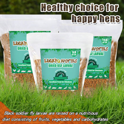 LuckyQworms Dried Black Soldier Fly Larvae 20LBS, High-Protein BSF Larvae Chicken Treats Non-GMO BSFL for Chickens, Hens, Ducks, Wild Birds