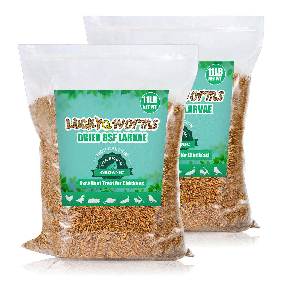 Dried Black Soldier Fly Larvae High-Protein Poultry Treats