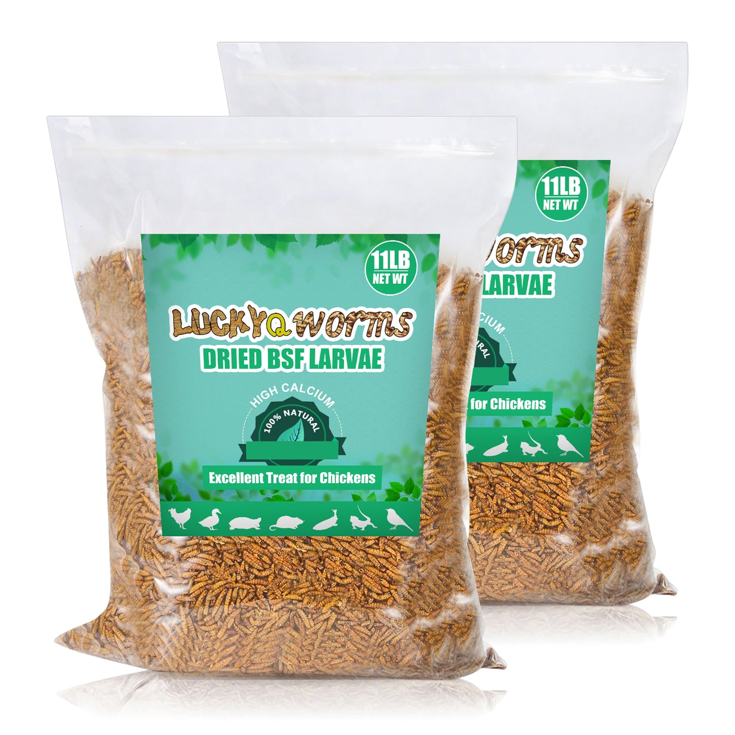 LuckyQworms Dried Black Soldier Fly Larvae 22LBS, High-Protein BSF Larvae Chicken Treats Non-GMO BSFL for Chickens, Hens, Ducks, Wild Birds