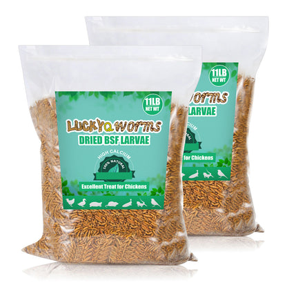 LuckyQworms Dried Black Soldier Fly Larvae 22LBS, High-Protein BSF Larvae Chicken Treats Non-GMO BSFL for Chickens, Hens, Ducks, Wild Birds