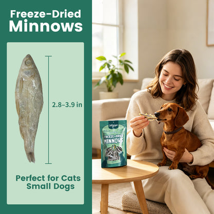 Freeze‑Dried Minnows for Cats & Small Dogs
