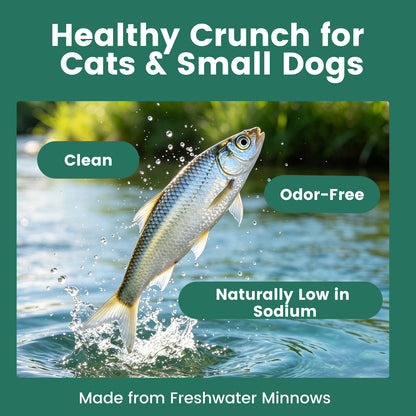 Freeze‑Dried Minnows for Cats & Small Dogs