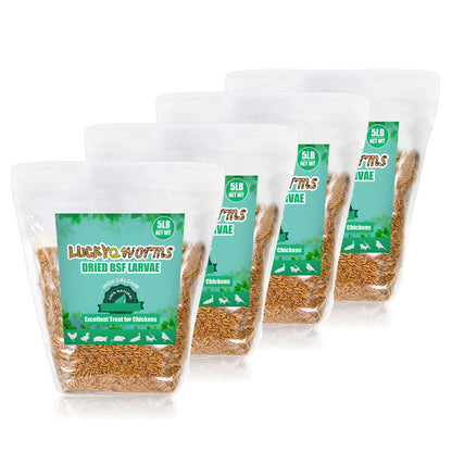 LuckyQworms Dried Black Soldier Fly Larvae 20LBS, High-Protein BSF Larvae Chicken Treats Non-GMO BSFL for Chickens, Hens, Ducks, Wild Birds