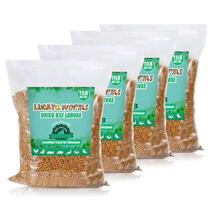 LuckyQworms Dried Black Soldier Fly Larvae 44LBS, High-Protein BSF Larvae Chicken Treats Non-GMO BSFL for Chickens, Hens, Ducks, Wild Birds