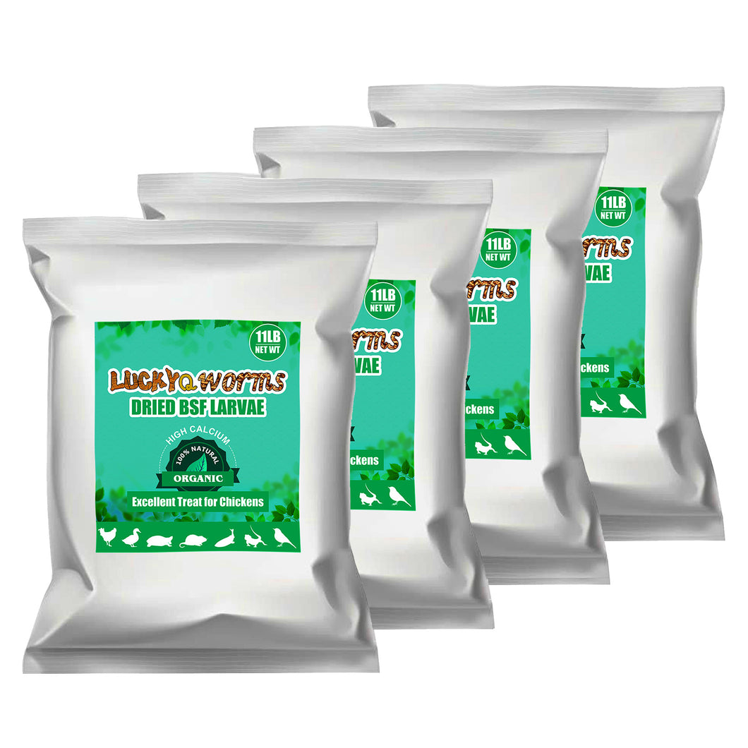 LuckyQworms Dried Black Soldier Fly Larvae 44LBS, High-Protein BSF Larvae Chicken Treats Non-GMO BSFL for Chickens, Hens, Ducks, Wild Birds