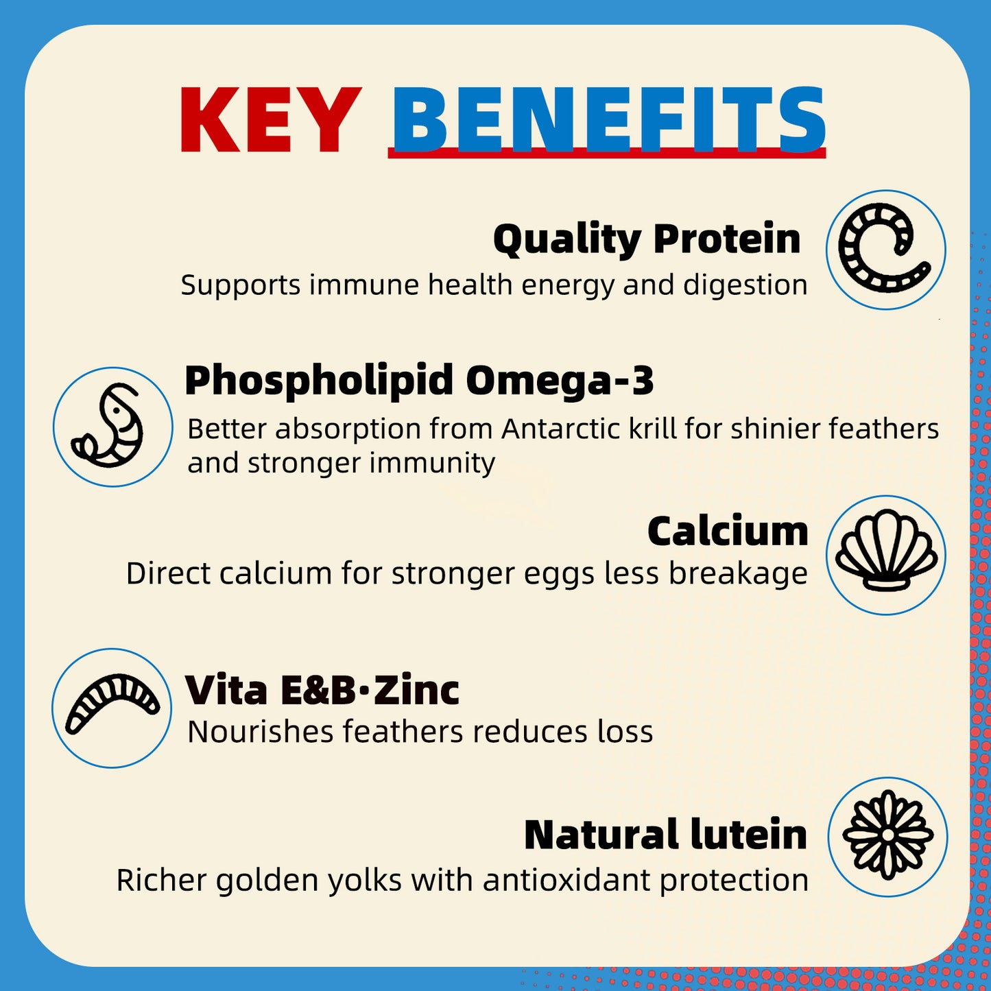 Petfu Apollo1 Series 6-in-1 Poultry Treat Mix High-Protein Mealworms, BSFL, Krill, Sunflower Seeds, Marigold Petals & Shells for Chickens & Ducks | Supports Strong Eggshells, Feather Health & Rich Yolks
