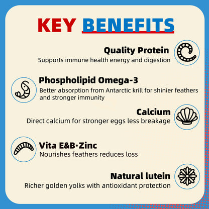 Petfu Apollo1 Series 6-in-1 Poultry Treat Mix High-Protein Mealworms, BSFL, Krill, Sunflower Seeds, Marigold Petals & Shells for Chickens & Ducks | Supports Strong Eggshells, Feather Health & Rich Yolks