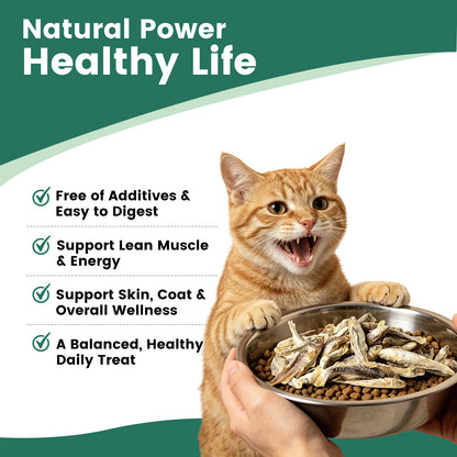 Freeze‑Dried Minnows for Cats & Small Dogs