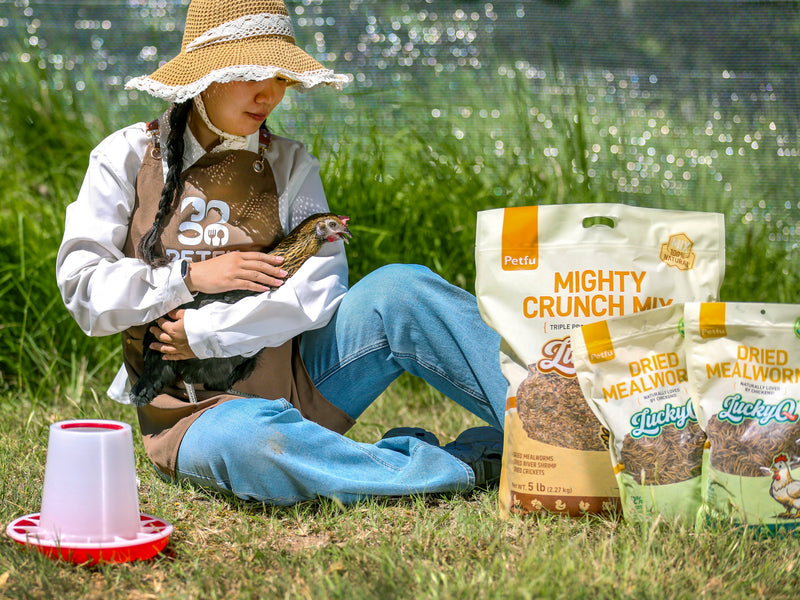 Treat Time Should Never Be Boring.