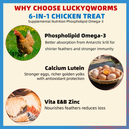 Petfu Apollo1 Series 6-in-1 Poultry Treat Mix High-Protein Mealworms, BSFL, Krill, Sunflower Seeds, Marigold Petals & Shells for Chickens & Ducks | Supports Strong Eggshells, Feather Health & Rich Yolks