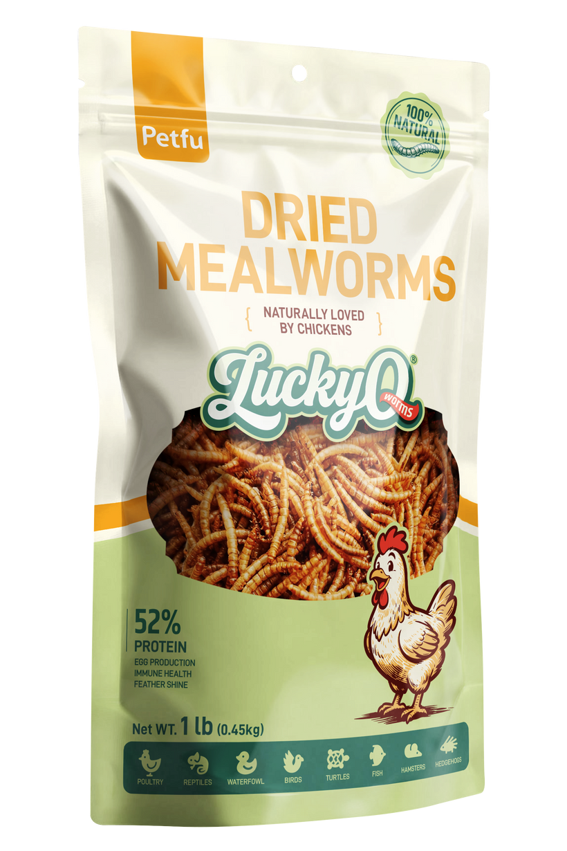 Dried Mealworms for Chickens & Birds
