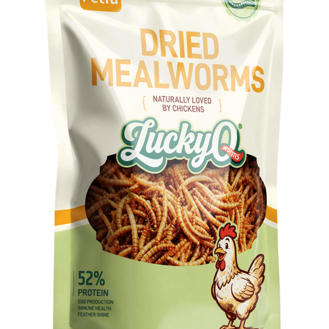 Dried Mealworms for Chickens & Birds