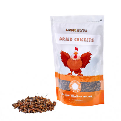 LuckyQworms Dried Crickets 1 lb for Chickens, Wild Birds, Hedgehogs, Reptiles, Lizards, Bearded Dragons, Fish, Turtles High Protein Natural Insect Food Resealable Bag