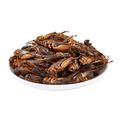 LuckyQworms Dried Crickets 1 lb for Chickens, Wild Birds, Hedgehogs, Reptiles, Lizards, Bearded Dragons, Fish, Turtles High Protein Natural Insect Food Resealable Bag