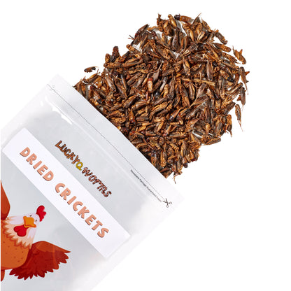 LuckyQworms Dried Crickets 1 lb for Chickens, Wild Birds, Hedgehogs, Reptiles, Lizards, Bearded Dragons, Fish, Turtles High Protein Natural Insect Food Resealable Bag