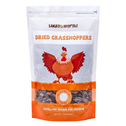 LuckyQworms Dried Grasshoppers 1 lb for Chickens, Wild Birds, Hedgehogs, Reptiles, Lizards, Bearded Dragons, Fish, Turtles High Protein Natural Insect Food Resealable Bag