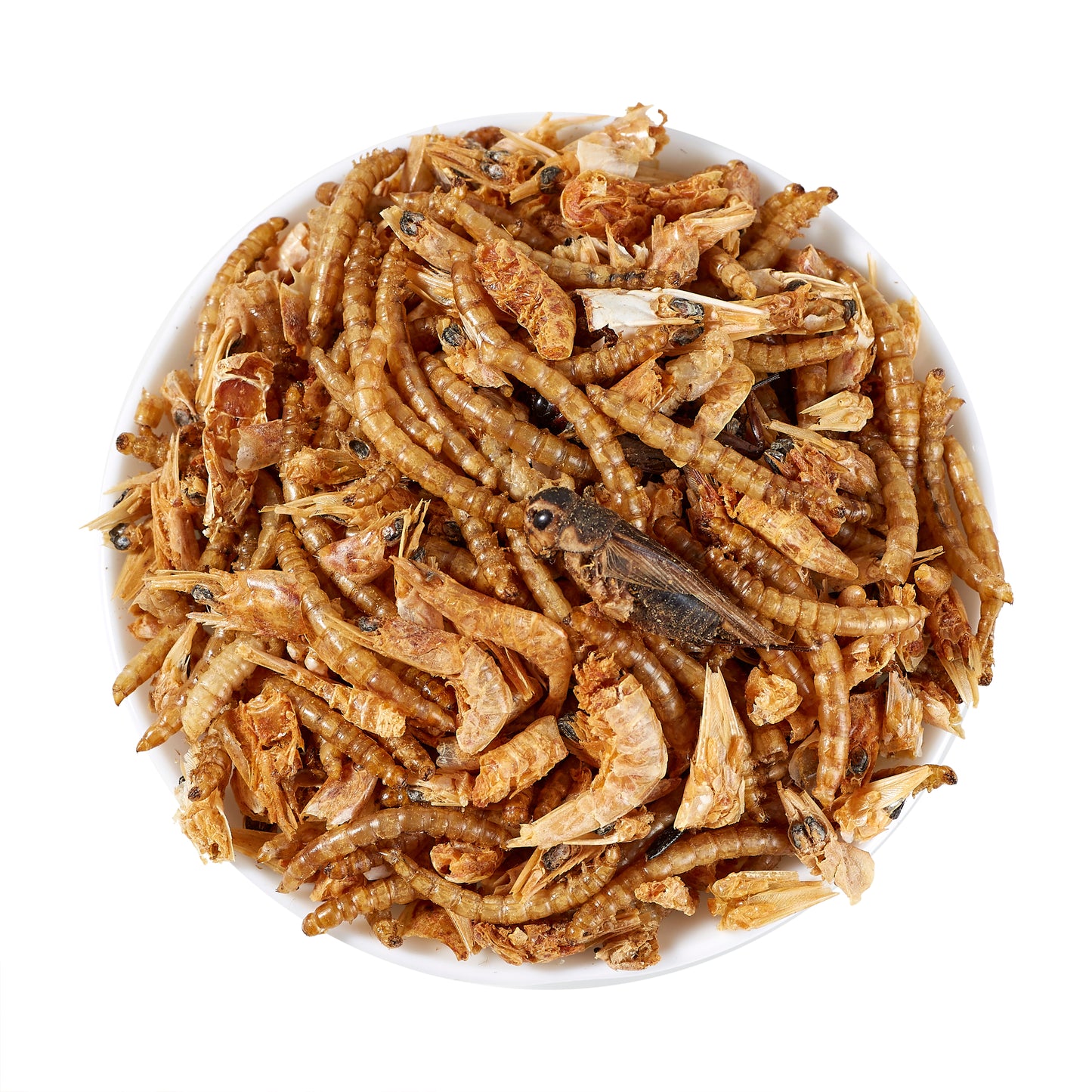 LuckyQworms Dried Mighty Crunch Mix Aquatic Turtle Food 1 lb for Chickens, Wild Birds, Hedgehogs, Reptiles, Lizards, Bearded Dragons, Fish, Turtles High Protein Natural Insect Food Resealable Bag